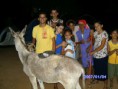 /album/clube-dos-desbravadores/desbravador-033-jpg/